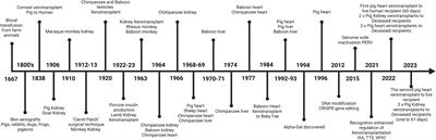 Ethical and legislative advances in xenotransplantation for clinical translation: focusing on cardiac, kidney and islet cell xenotransplantation